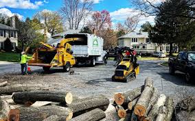 Best Emergency Tree Removal  in Pacifi, CA