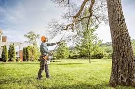 Best Commercial Tree Services  in Pacifi, CA