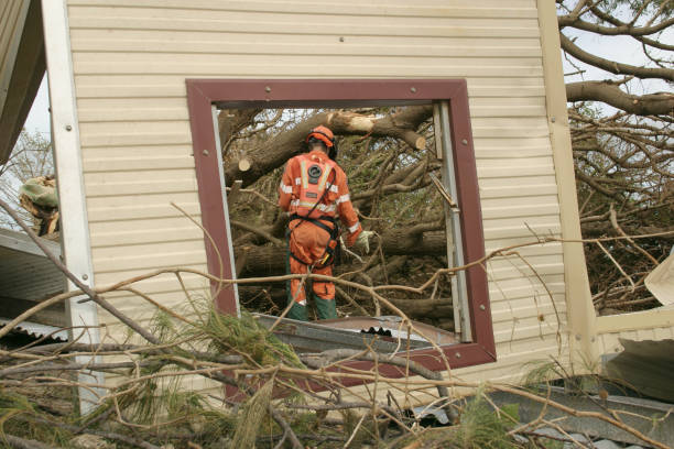 Best Fruit Tree Pruning  in Pacifi, CA